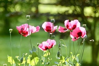 Sitzecke Seniorenresidenz Latumer See