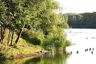 Spaziergang Seniorenresidenz Latumer See